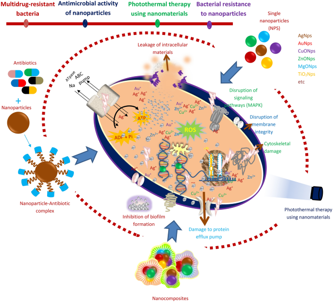 Antibacterial activity and antibiotic-modifying action of carvacrol against  multidrug-resistant bacteria - ScienceDirect