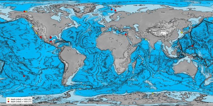 Metagenomic analysis of carbohydrate-active enzymes and their contribution to marine sediment biodiversity