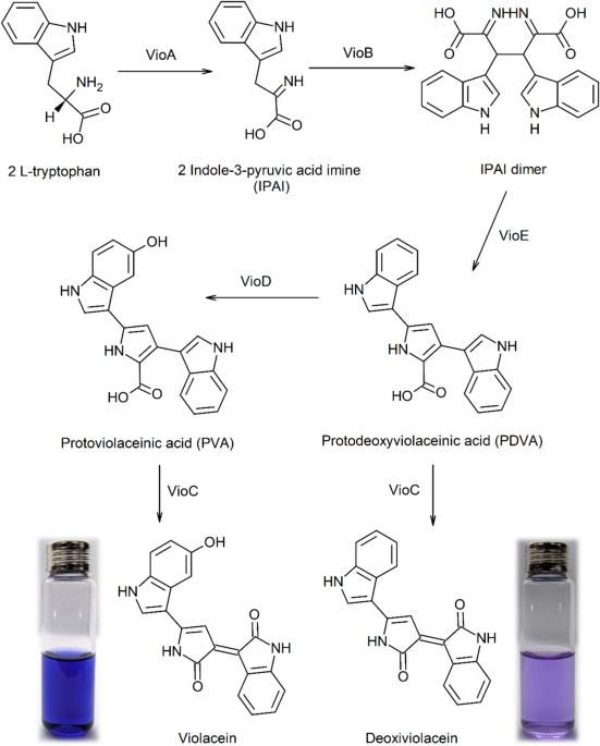 dr lam glutathione amazon Liposomal Glutathione, with Vitamin C, Milk Thistle & Alpha-Lipoic Acid, Master Antioxidants, Pure Reduced L-Glutathione Plant-derived compounds and neurodegenerative diseases: