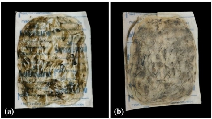 Bacterial nanocellulose-based encapsulation of Trichoderma harzianum spores for sustainable delivery of fungal biocontrol agents in agriculture - World Journal of Microbiology and Biotechnology