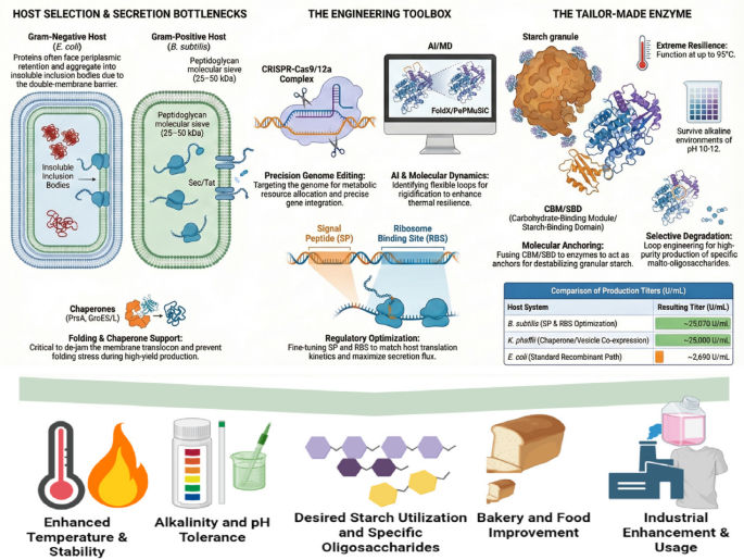 glutathione iv ph to nyc Isocitrate dehydrogenase 1 primes group-3 medulloblastomas for cuproptosis: Cancer Cell Overcoming cellular secretion bottlenecks: advanced