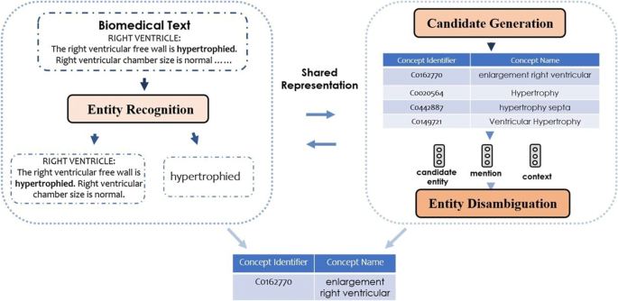 PDF) Mining and Ranking Biomedical Synonym Candidates from Wikipedia