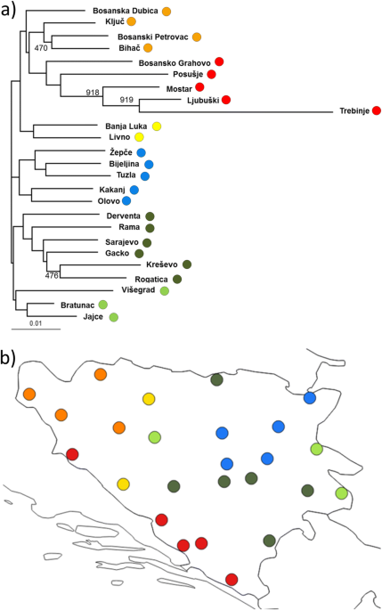 Genetic variation of a widespread subdominant tree species (Acer campestre  L.) in Bosnia and Herzegovina | Tree Genetics & Genomes