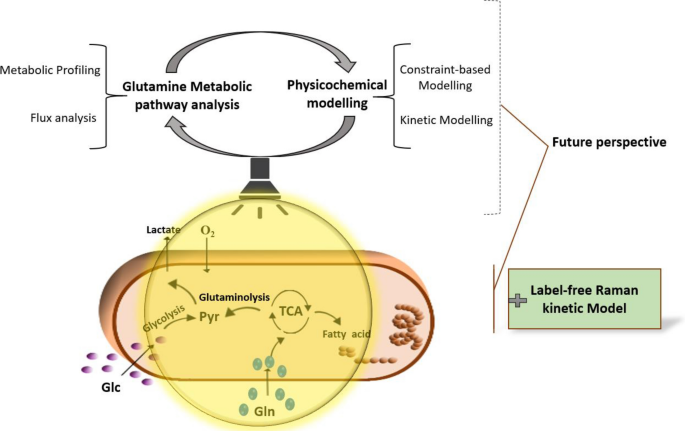 liposomal glutathione quicksilver scientific reviews Amazon.com: Quicksilver Scientific Liposomal Glutathione - Superior  Absorption Oral Glutathione Supplement for Detox & Immune Support