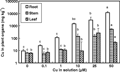 Copper accumulation, translocation, and toxic effects in grapevine cuttings