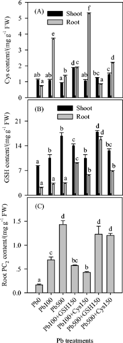 Exogenous application of jasmonates and brassinosteroids alleviates lead  toxicity in bamboo by altering biochemical and physiological attributes
