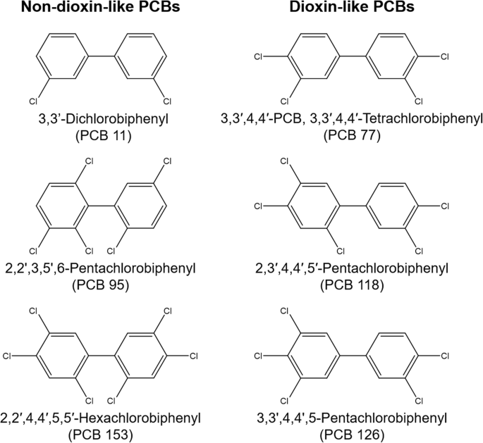 Assessment of Polychlorinated Biphenyls and Their Hydroxylated Metabolites  in Postmortem Human Brain Samples: Age and Brain Region Differences