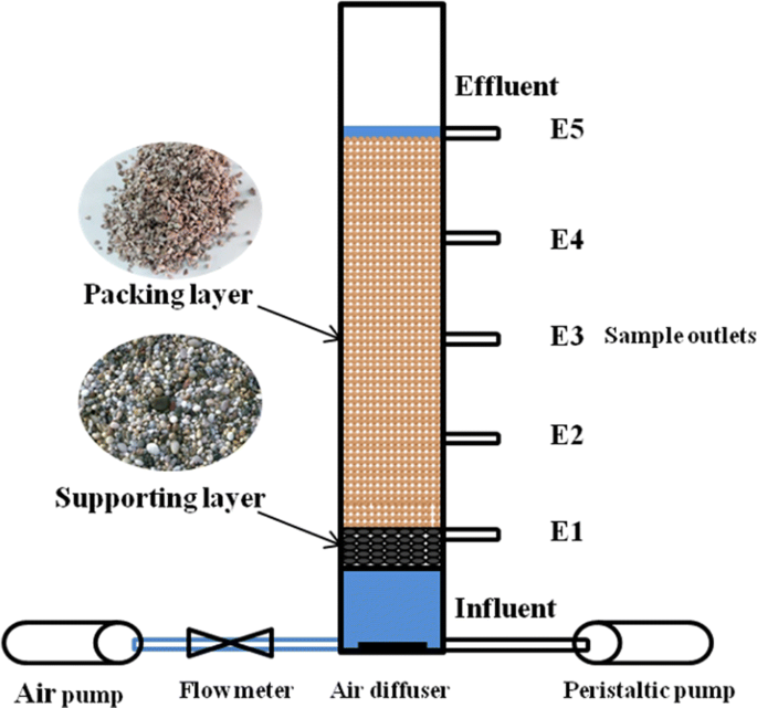Nitrogen removal performance and bacterial communities in zeolite trickling  filter under different influent C/N ratios | Environmental Science and  Pollution Research