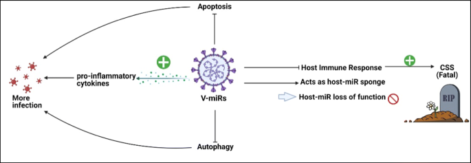 SciELO - Brasil - An immunogenetic view of COVID-19 An immunogenetic view  of COVID-19