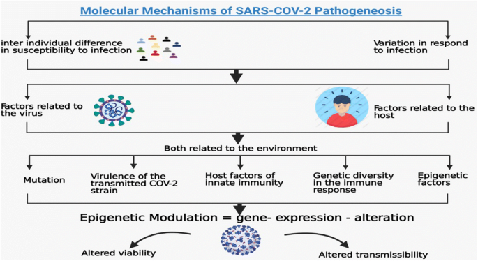 SciELO - Brasil - An immunogenetic view of COVID-19 An immunogenetic view  of COVID-19