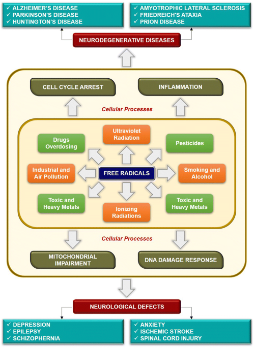 Free radical biology in neurological manifestations: mechanisms to therapeutics interventions | Environmental Science and Pollution Research