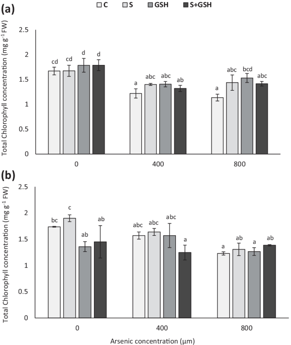 Exogenous supplementation of Sulfur (S) and Reduced Glutathione (GSH) Alleviates Arsenic Toxicity in Shoots of Isatis cappadocica Desv and Erysimum allionii L | Environmental Science and Pollution Research