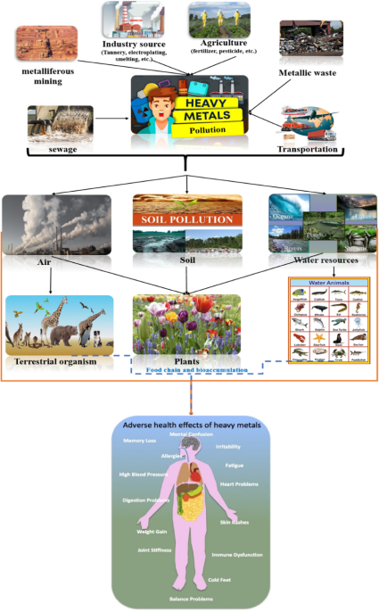 glutathione unusual peptide bond The Emerging Roles of -Glutamyl Peptides Produced by -Glutamyltransferase  and the Glutathione Synthesis System