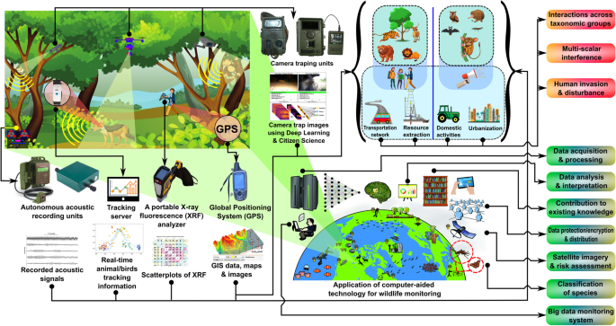 Life Cycle Pollution  Biodiversity and Wireless Telecommunications