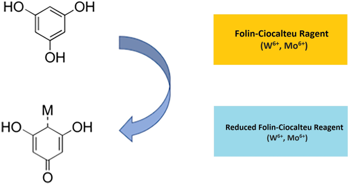 Antioxidant activity of mint extracts determined through the