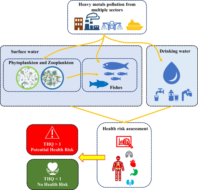 PDF) Health Risk Assessment Attributed to Consumption of Fish Contaminated  with Mercury in the Rio Branco Basin, Roraima, , Brazil