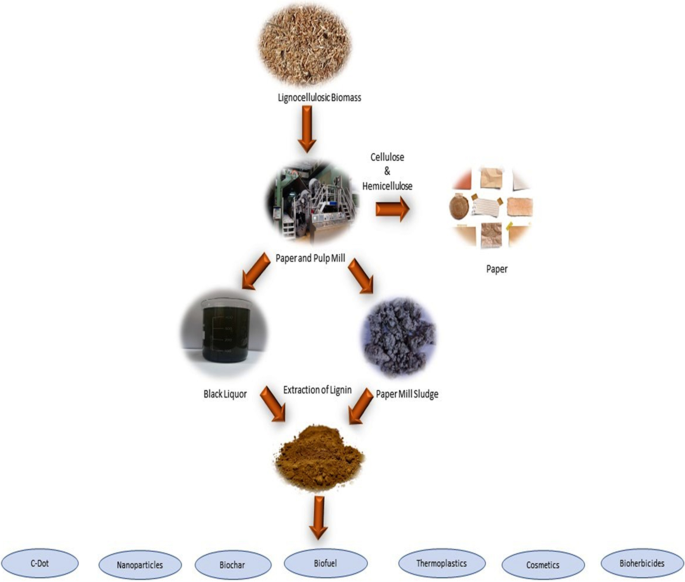 major lignin—a for valorization Pollution of Environmental the mill the | developing industry and Research Science of paper Challenges strategies pollutant in