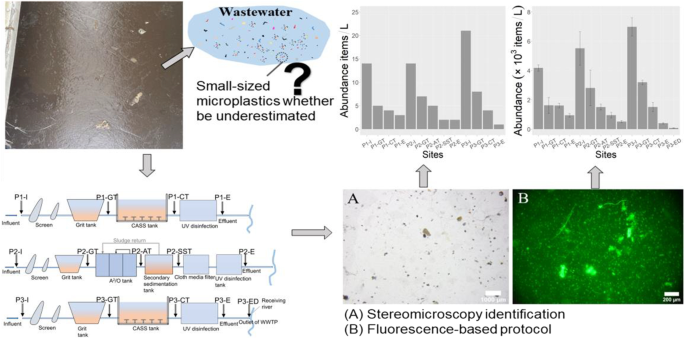 Unaccounted Microplastics in Wastewater Sludge: Where Do They Go