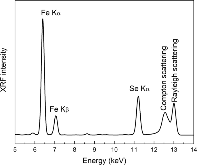 HUMUS ANENZY(R) CON ZEOLITE CHABATISE