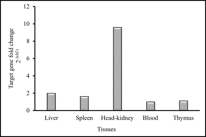 Heavy metal–induced genotoxic, physiological, and biochemical