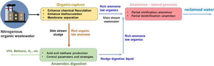 Synergy between Comammox and Anammox Bacteria in Wastewater
