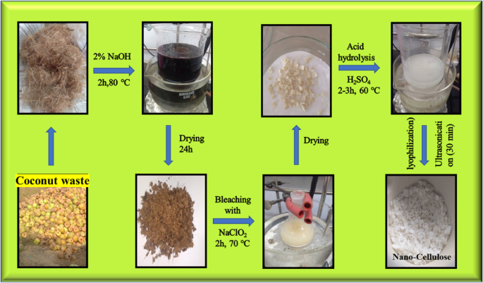 kb glutathione bleaching powder Coconut coir–derived nanocellulose as an efficient adsorbent for removal of cationic dye safranin-O: a detailed mechanistic adsorption study | Environmental Science and Pollution Research anti aging sunscreen Liposomal Glutathione & Zinc Size:4 Fluid Ounce