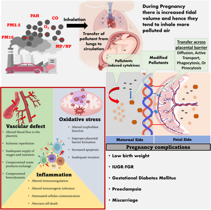 glutathione test fasting required Rapid and effective protocol to measure glutathione peroxidase activity |  Bulletin of the National Research Centre