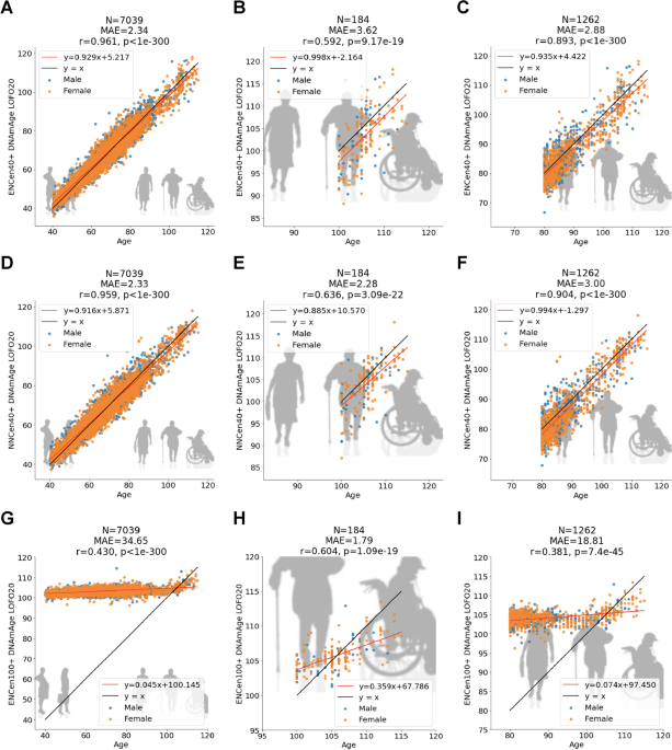 Centenarian clocks: epigenetic clocks for validating claims of exceptional longevity