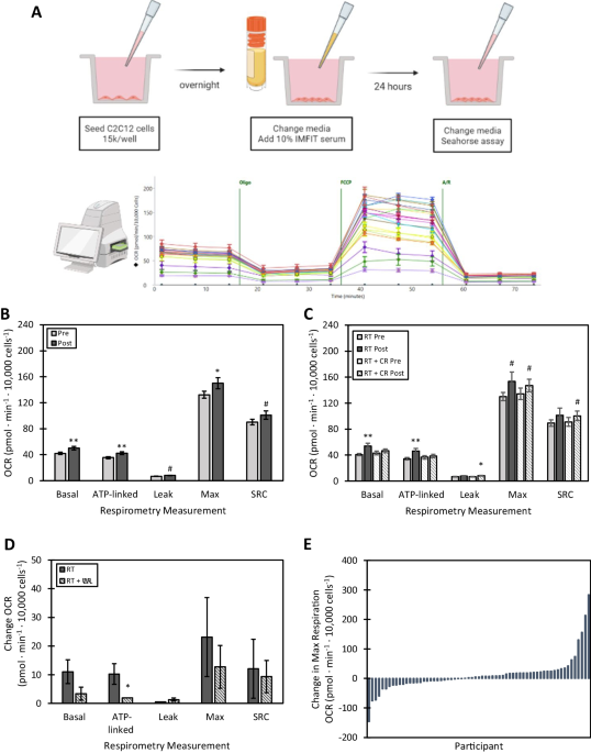 kb glutathione price in watsons Serum factors mediate changes mitochondrial bioenergetics associated with diet and exercise interventions | GeroScience Life Stage_Lactation