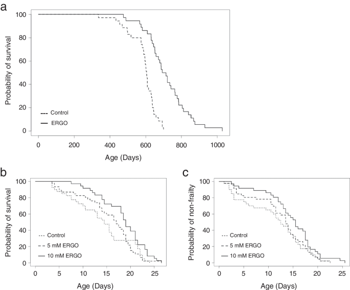Ergothioneine promotes longevity and healthy aging in male mice