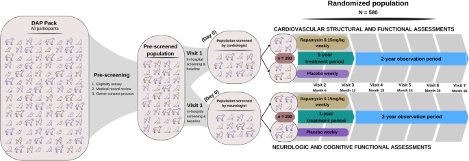 Test of Rapamycin in Aging Dogs (TRIAD): study design and rationale for a prospective, parallel-group, double-masked, randomized, placebo-controlled, multicenter trial of rapamycin in healthy middle-aged dogs from the Dog Aging Project - GeroScience