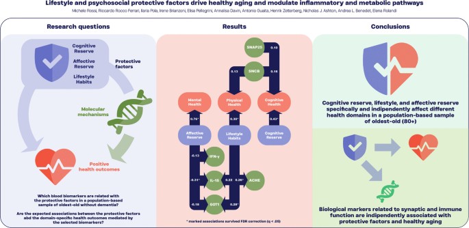 Lifestyle and psychosocial protective factors drive healthy aging and modulate inflammatory and metabolic pathways - GeroScience