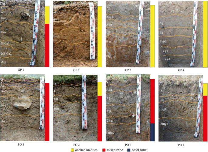 Close up soil profile cross section showing thin topsoil layer on