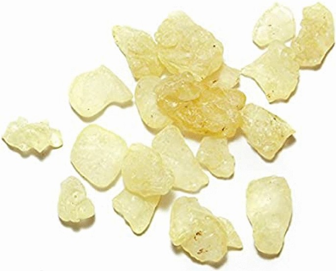 What Is Mastic Gum: Health Benefits, Uses, Side Effects and Effect