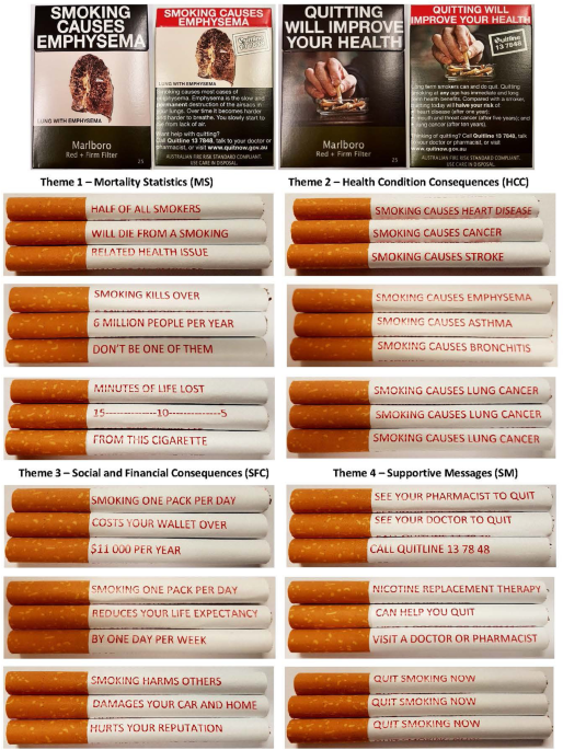 voices of the void cigarettes Baguettes and Cigarettes