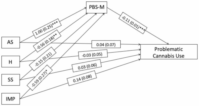 Protective Behavioral Strategies for Marijuana Scale