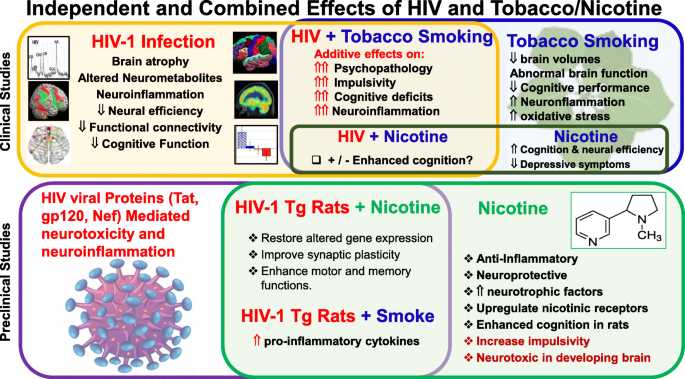 Region-Specific Effects of Nicotine on Brain Activity: A Pharmacological  MRI Study in the Drug-Naïve Rat