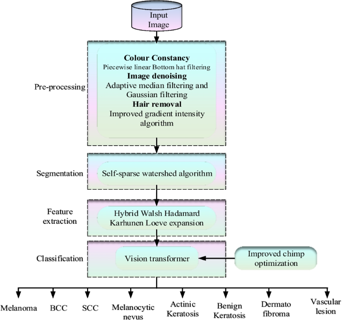 Illustration of the SAH classification categories from Nayak et al