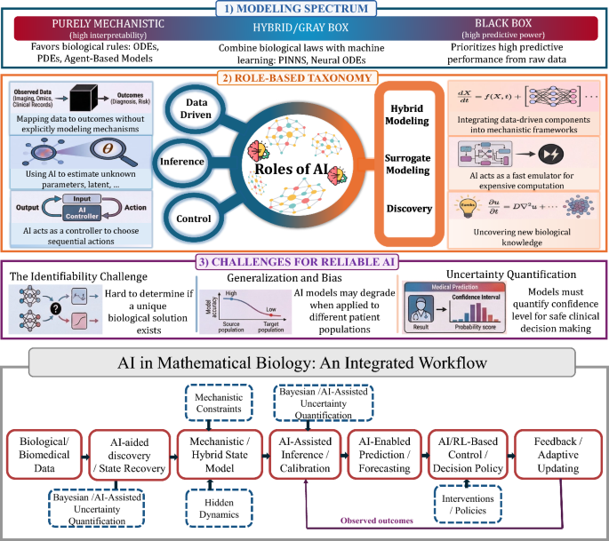 https://link.springer.com/article/10.1007/s11538-026-01744-x social preview image