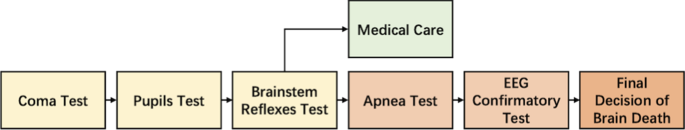 What is the Difference Between a Coma and Brain Death?