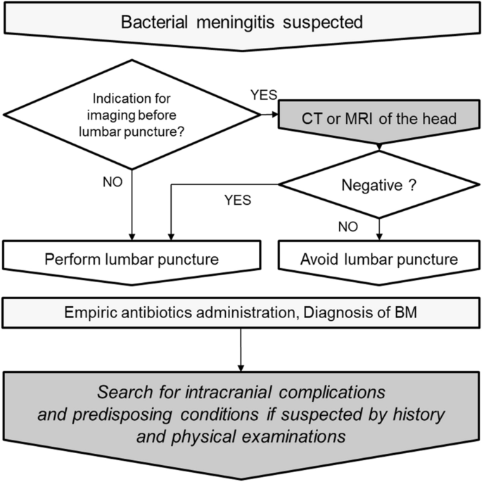 Table 1 from Bacterial meningitis and living conditions.