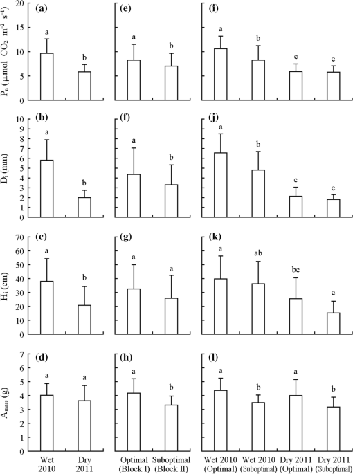 Response of photosynthesis, growth, and acorn mass of pedunculate oak to  different levels of nitrogen in wet and dry growing seasons | Journal of  Forestry Research
