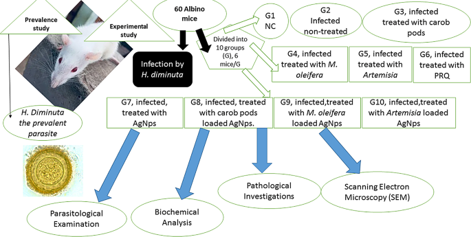 glutathione fruits and vegetables Glutathione Food /Food For Face