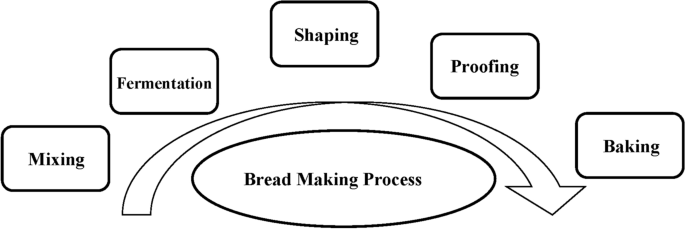Rope Spoilage, Baking Processes