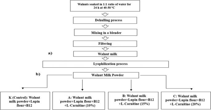 beyond raw l carnitine benefits Lyophilised walnut milk powders enriched with vitamin B12 and L-Carnitine  for vegan athletes | Journal of Food Measurement and Characterization