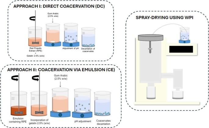 Development and characterization of red propolis powders obtained by complex coacervation and spray drying: application in isomalt-based hard candy - Journal of Food Measurement and Characterization