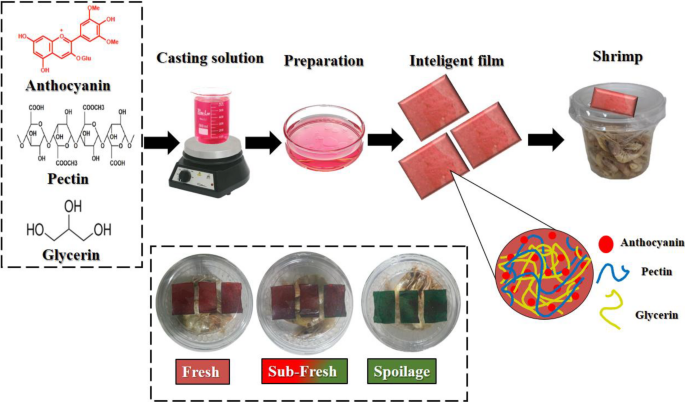 Biodegradable pectin films incorporating purple sweet potato anthocyanins for real-time shrimp freshness monitoring - Journal of Food Measurement and Characterization