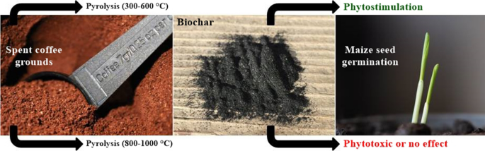 Complete Utilization of Spent Coffee Grounds To Produce Biodiesel, Bio-Oil,  and Biochar