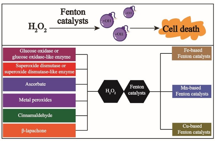 kb glutathione testimonials 2014 in Skin Aging and Tissue Regeneration: A Systematic Review of Molecular Mechanisms, Redox Modulation, and Biomedical Implications Zafirlukast Is a Promising Scaffold