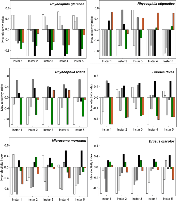 Dynamic microhabitat shifts in space and time of caddisfly larvae (Insecta:  Trichoptera) in a first‐order calcareous mountain stream